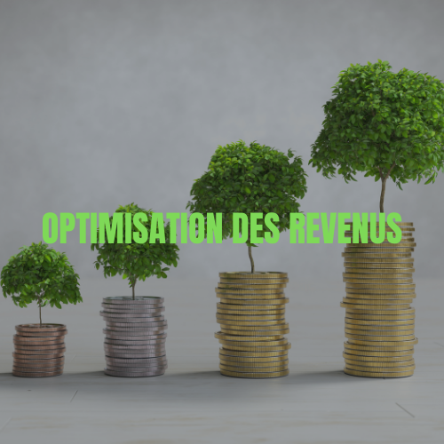 Optimisation des revenus
