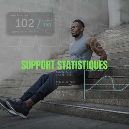 support statistiques